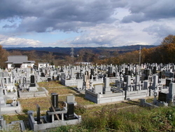 普通墓地の写真
