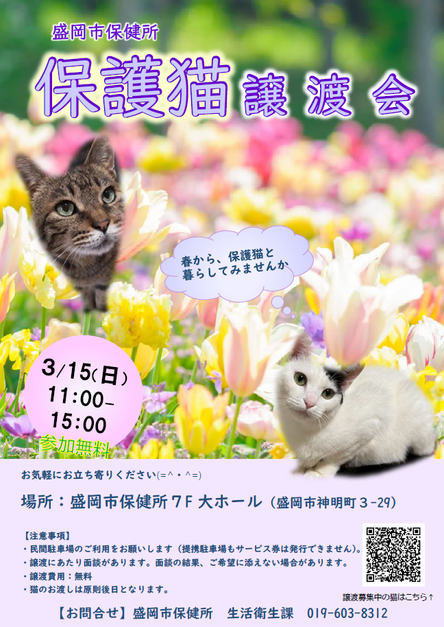 譲渡会のポスターの画像