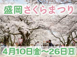 さくらまつり（外部リンク）