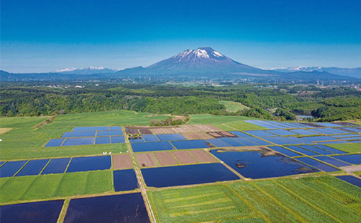 写真：岩手山と水田・田園風景