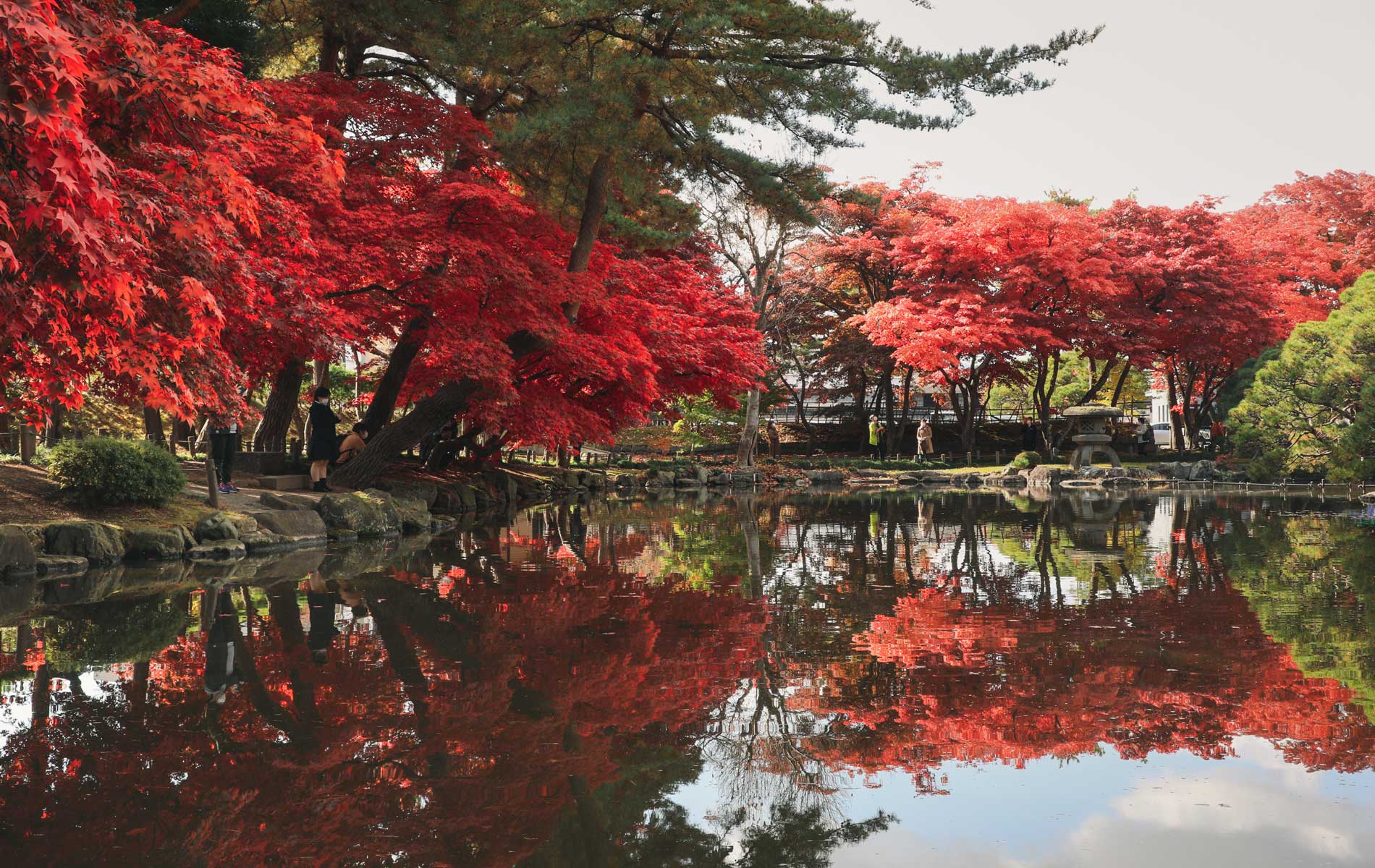 中央公園庭園