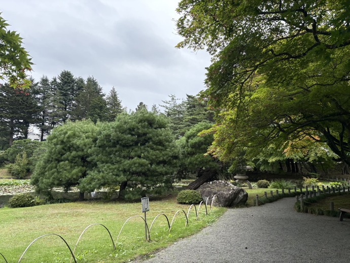 写真：庭の様子3