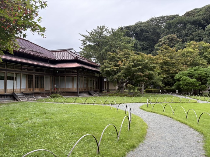 写真：庭の様子2