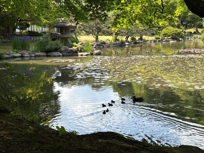 庭の様子