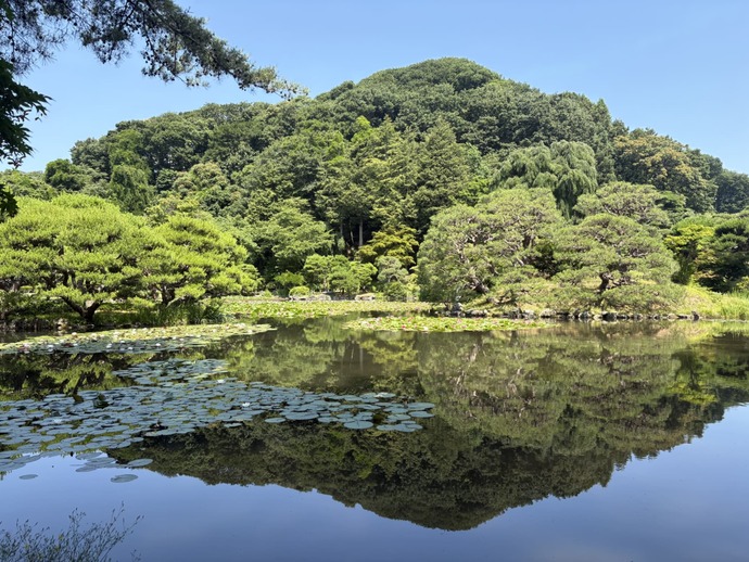 庭の様子
