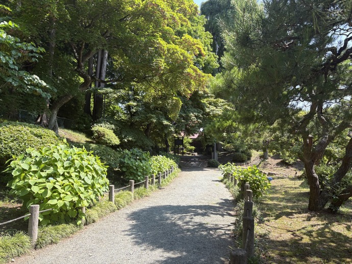 庭の様子