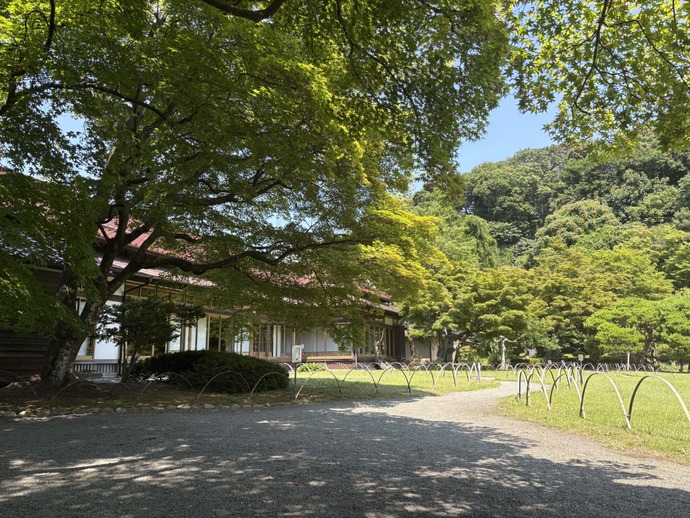 庭園の様子