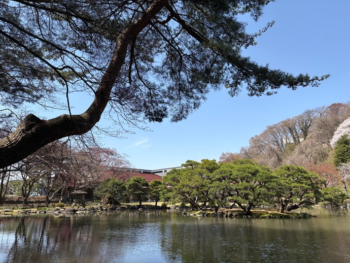 庭の様子