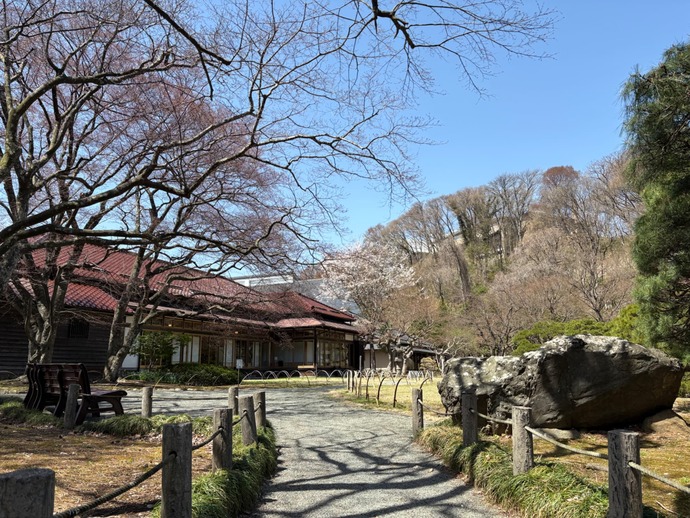 庭園の様子