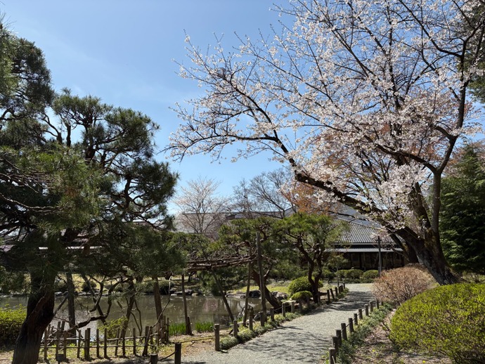 庭の様子