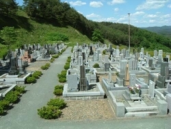 普通墓地の写真