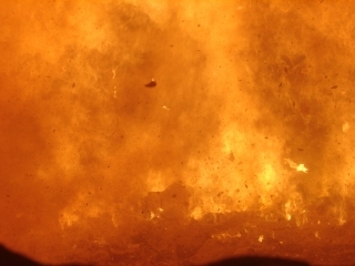 焼却炉の燃焼状態の写真
