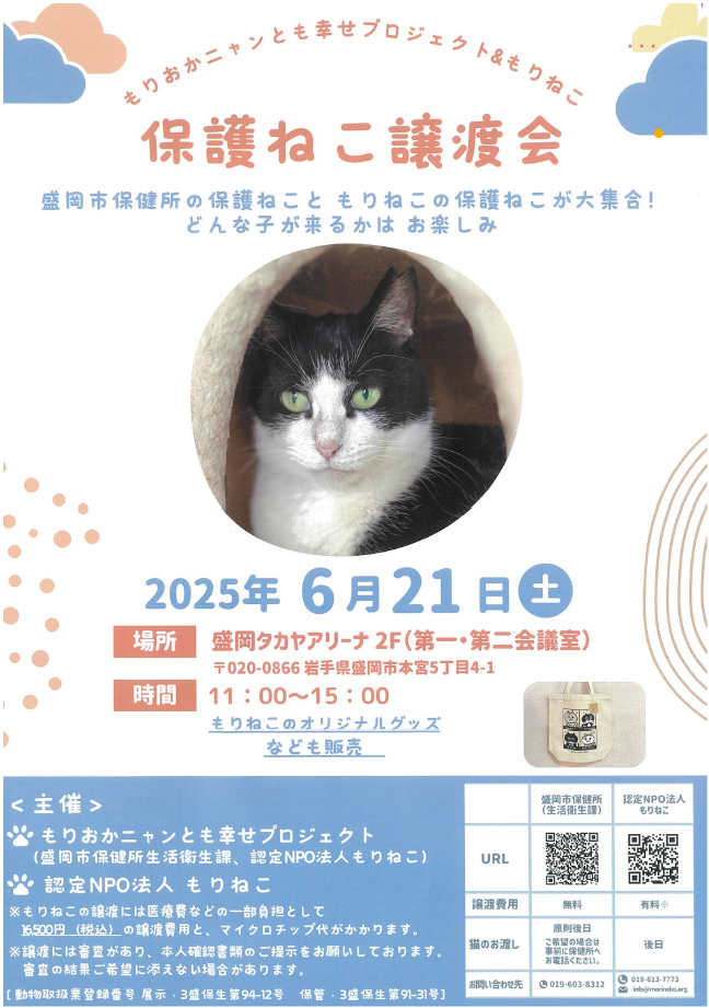 譲渡会ちらし