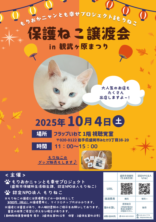 譲渡会ちらし