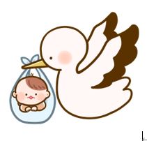 コウノトリ