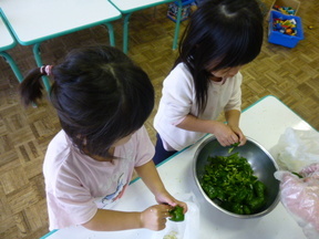 ピーマンちぎり