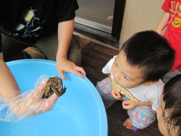 カエルと一緒の写真