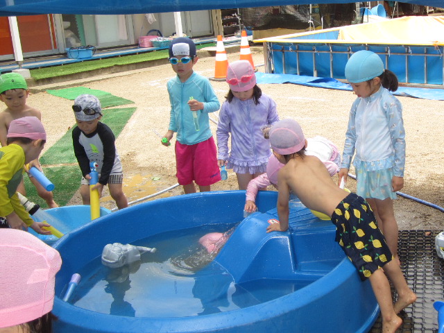 水遊びの写真