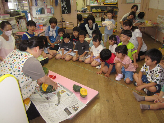 かぼちゃの写真