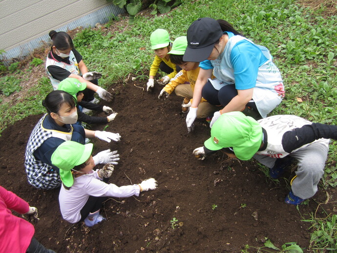 ジャガイモ堀の写真