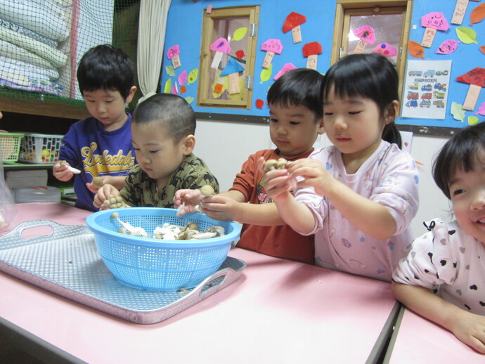 カレー作りの写真