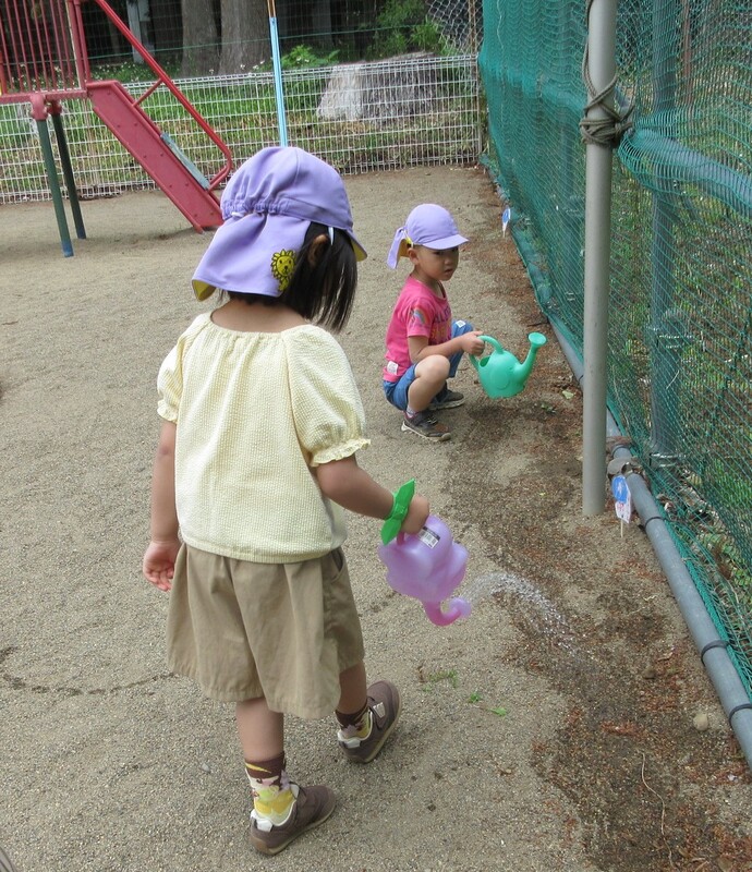 水まきをしている写真
