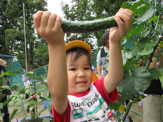 子どもがきゅうりを持っている様子