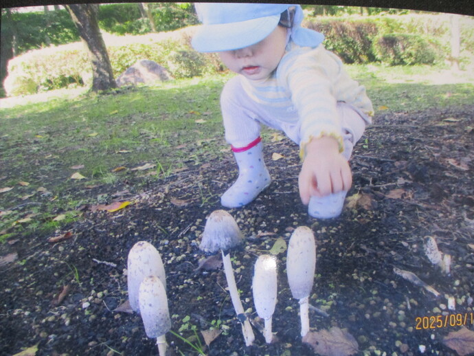 園児の写真