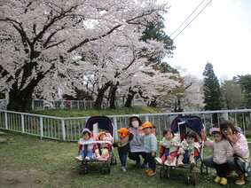 お花見に行こう
