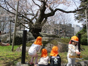 春のお散歩