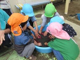 いも洗いの様子