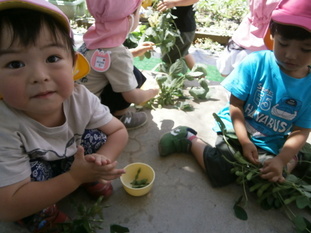 幼児組