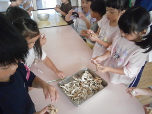 幼児組