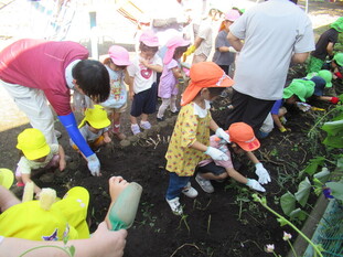 幼児組