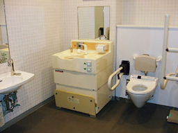いわて県民情報交流センター（アイーナ）多目的トイレ写真