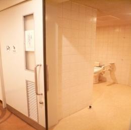 ホテルメトロポリタン盛岡本館多目的トイレ写真