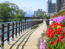 開運橋遊歩道の写真