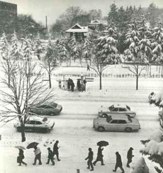 昭和54年(1979年)の写真