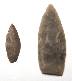 小石川遺跡出土石器の写真
