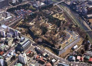 盛岡城跡全景の写真