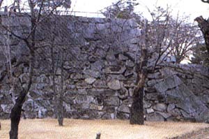 本丸東側石垣の写真