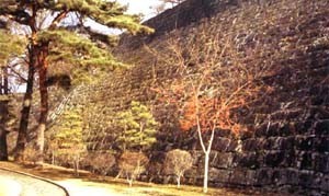 二の丸西側石垣の写真