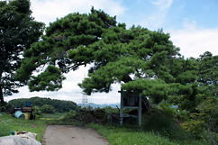 高舘古墳の写真