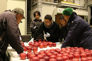 岩手中央農業協同組合りんご部会の写真1