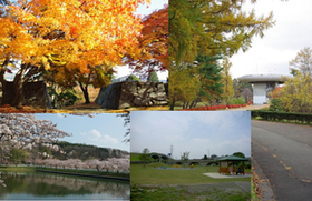 岩山公園・高松公園・中央公園・盛岡城跡公園