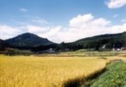 田園・丘陵景観区域の写真