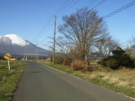 眺望地点(八幡宮付近)の写真