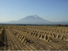 門前時から岩手山の眺望写真