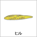 ヒルの絵