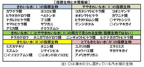 イラスト：指標生物と水質階級の表